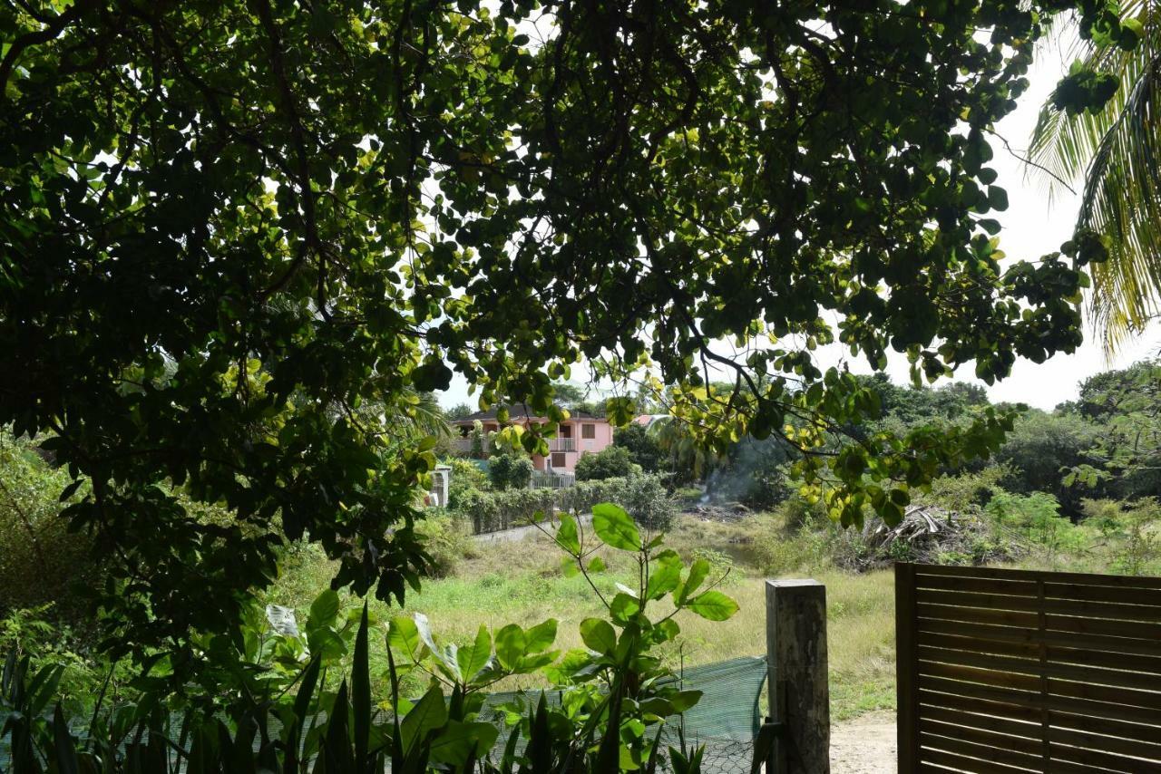 Bungalows Les Vagues Abondes Villa Sainte-Anne  Dış mekan fotoğraf