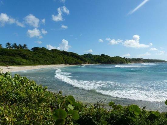 Bungalows Les Vagues Abondes Villa Sainte-Anne  Dış mekan fotoğraf